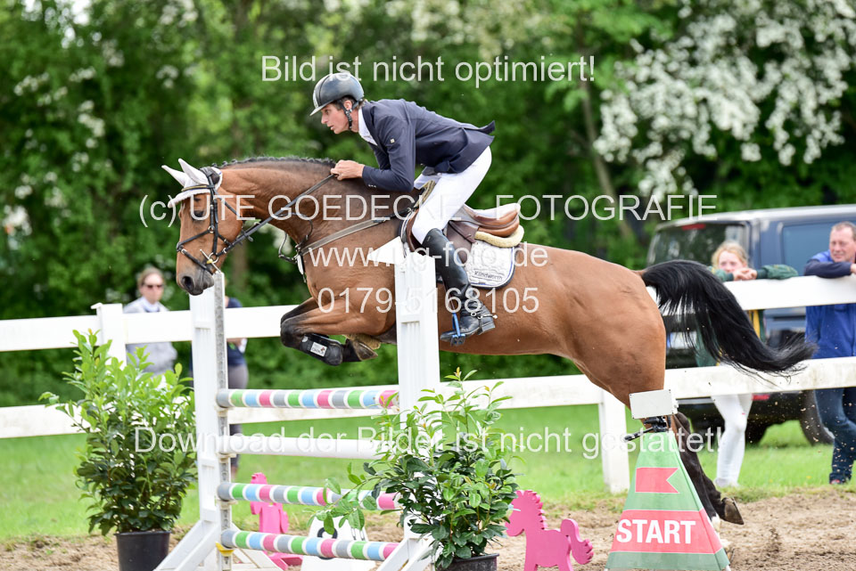 260520-Springpferde-L-_120.jpg