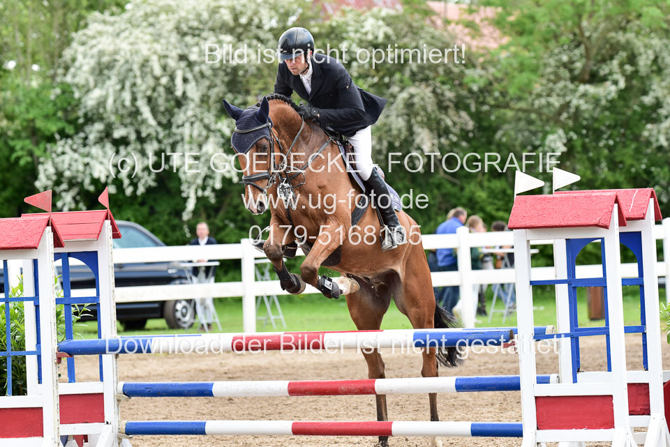 260520-Springpferde-L-_121.jpg