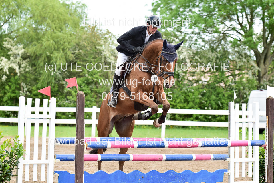 260520-Springpferde-L-_123.jpg