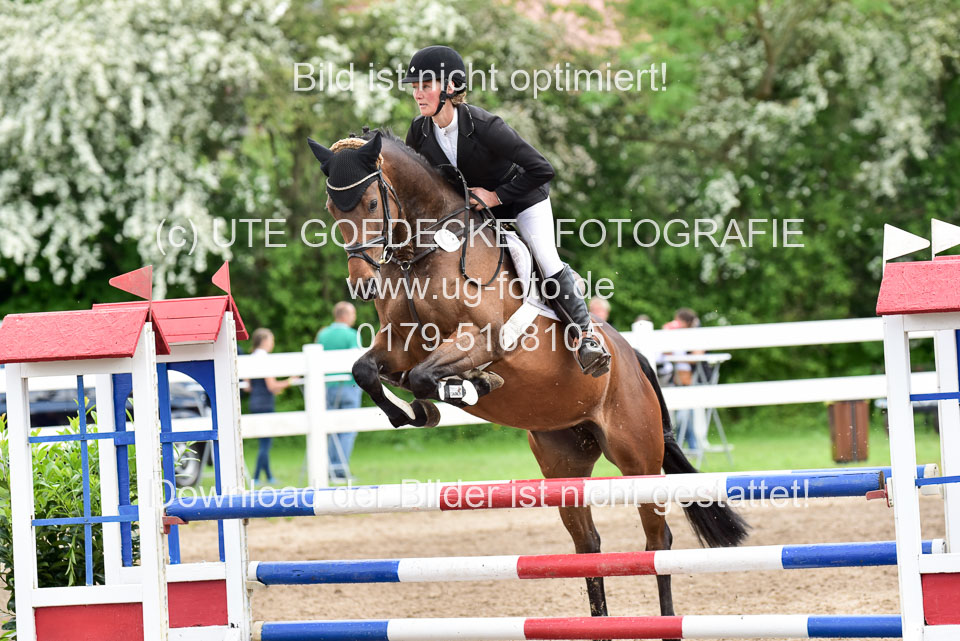 260520-Springpferde-L-_124.jpg
