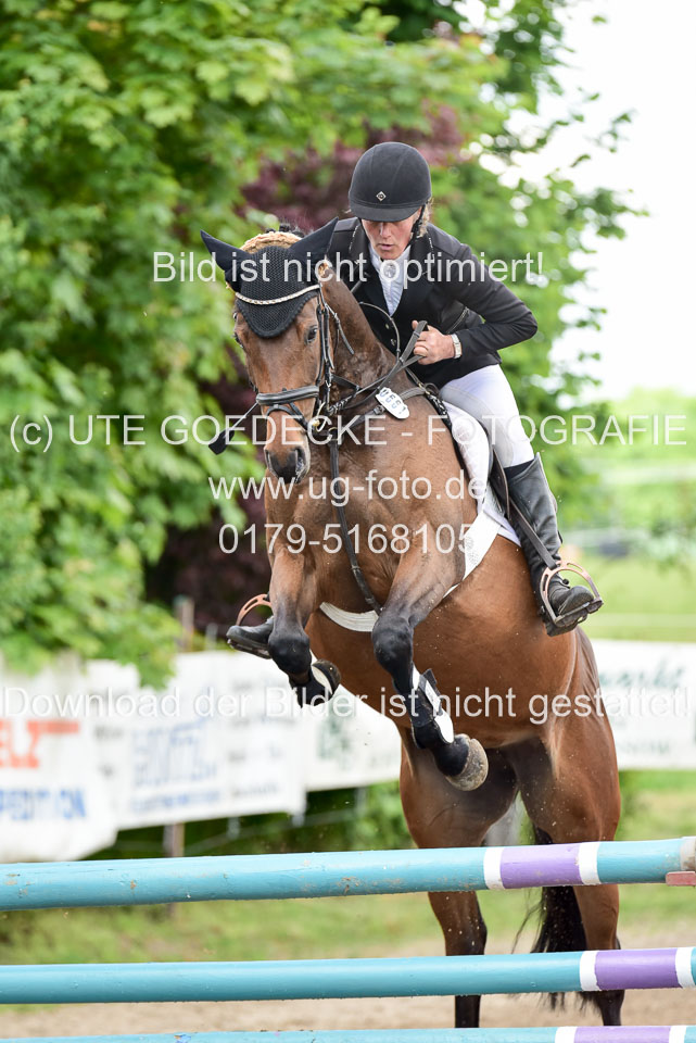 260520-Springpferde-L-_125.jpg