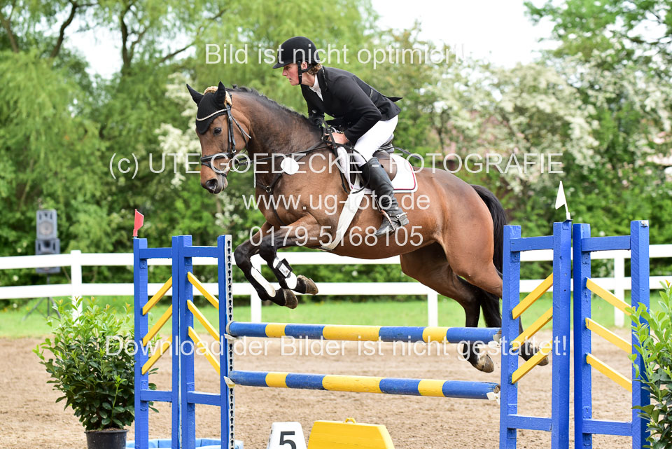 260520-Springpferde-L-_126.jpg