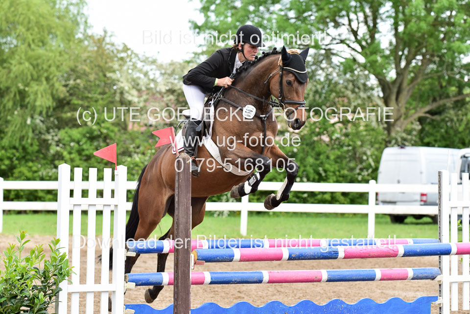 260520-Springpferde-L-_127.jpg