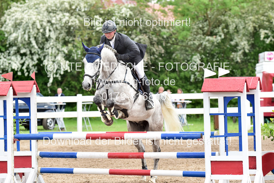 260520-Springpferde-L-_128.jpg