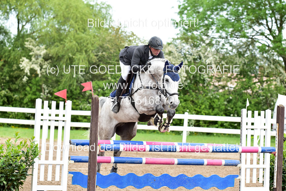 260520-Springpferde-L-_131.jpg
