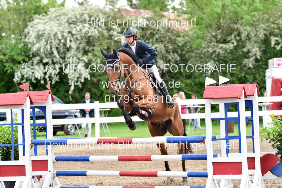 260520-Springpferde-L-_132.jpg