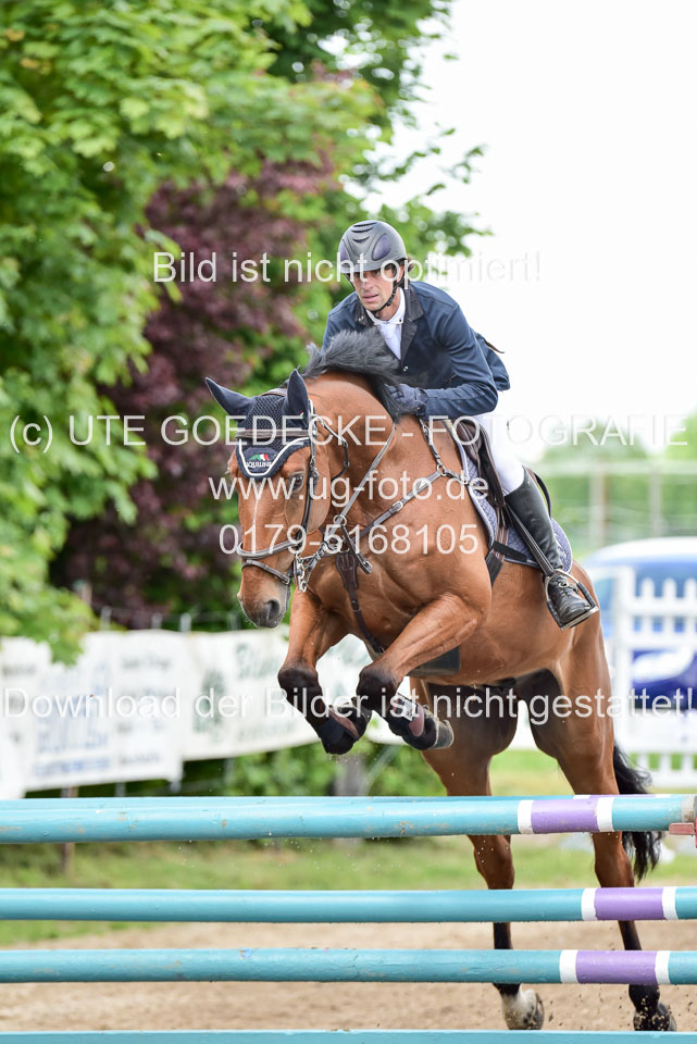 260520-Springpferde-L-_133.jpg