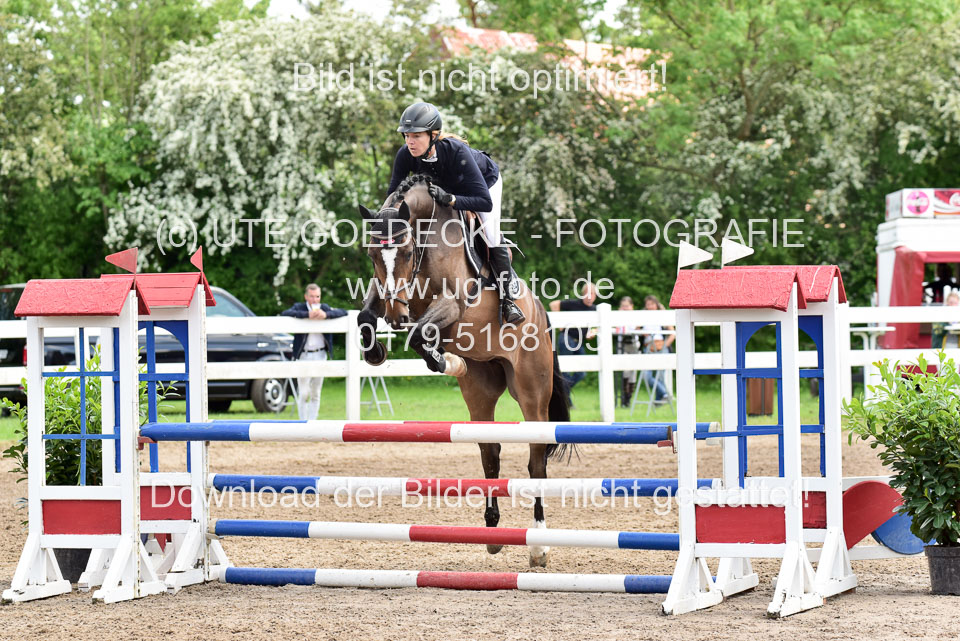 260520-Springpferde-L-_134.jpg