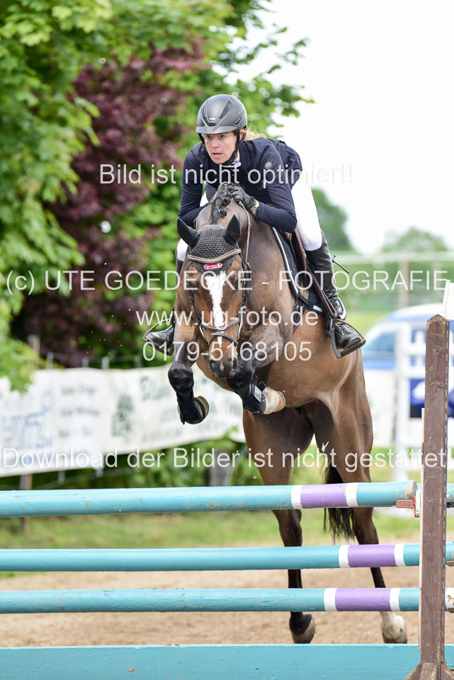 260520-Springpferde-L-_135.jpg
