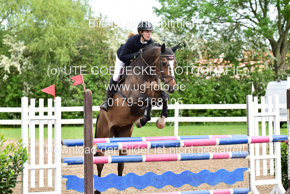 260520-Springpferde-L-_137.jpg