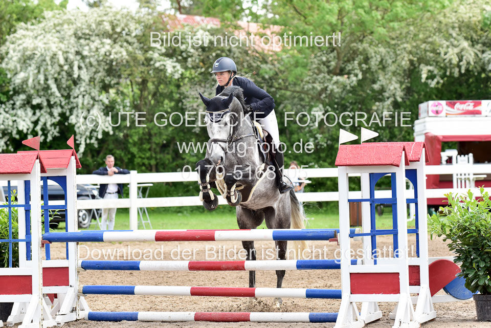 260520-Springpferde-L-_138.jpg