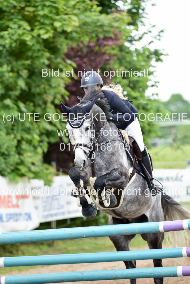 260520-Springpferde-L-_139.jpg
