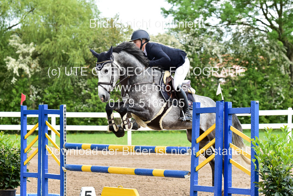260520-Springpferde-L-_140.jpg