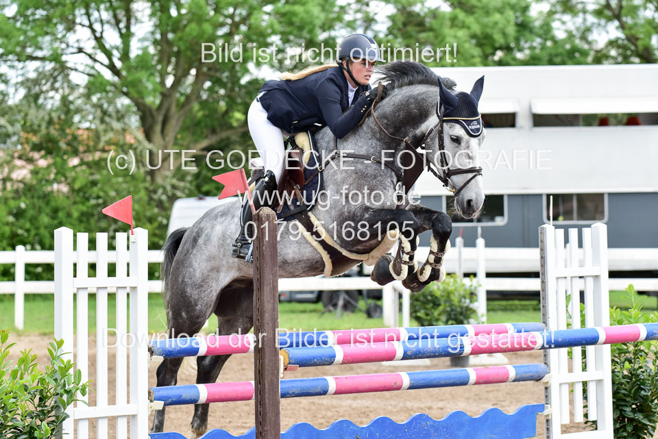 260520-Springpferde-L-_141.jpg