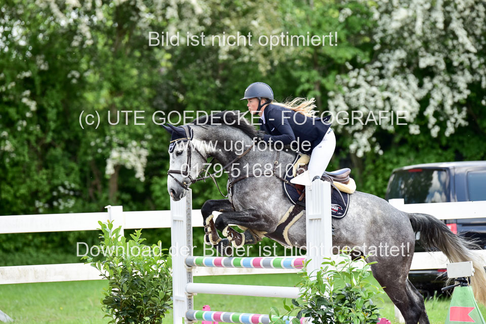 260520-Springpferde-L-_142.jpg