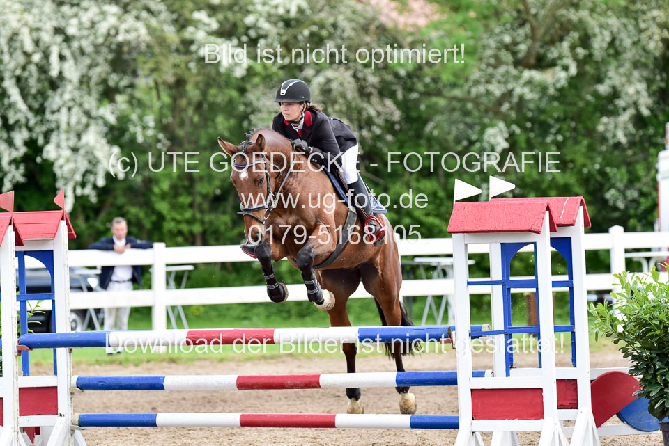 260520-Springpferde-L-_145.jpg