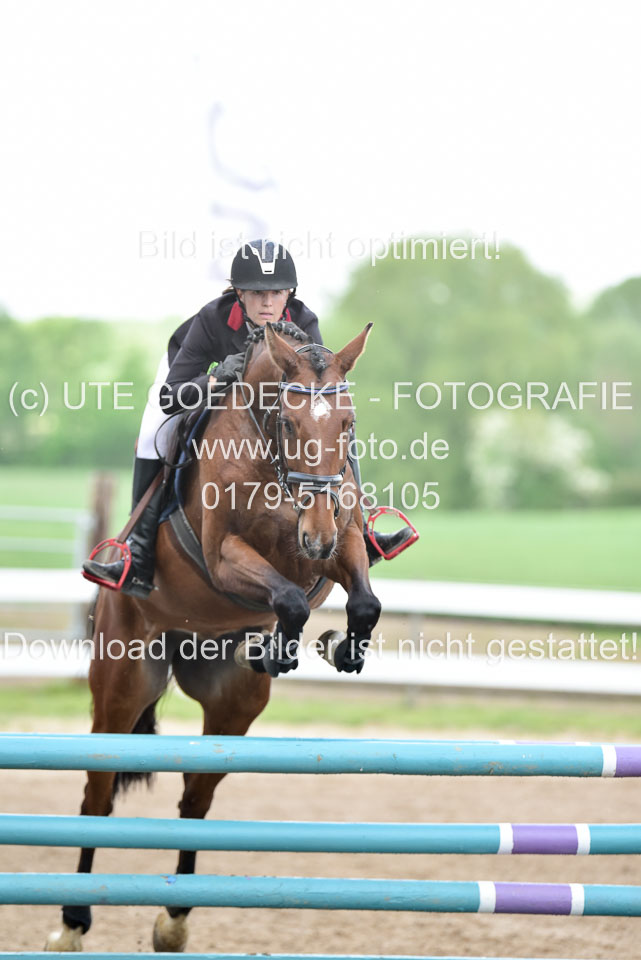 260520-Springpferde-L-_146.jpg