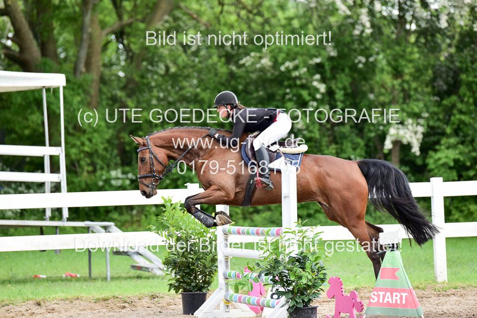 260520-Springpferde-L-_149.jpg