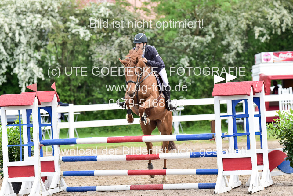 260520-Springpferde-L-_150.jpg