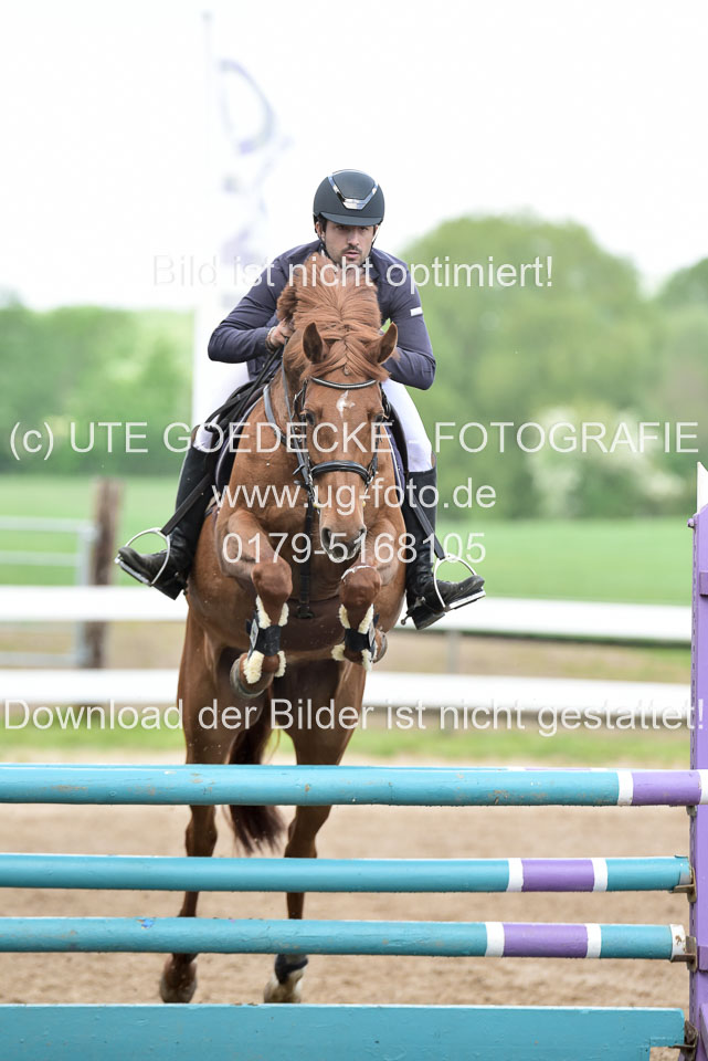 260520-Springpferde-L-_151.jpg