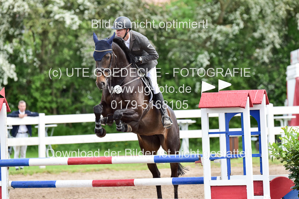 260520-Springpferde-L-_154.jpg