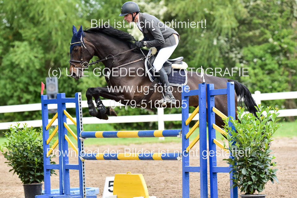 260520-Springpferde-L-_156.jpg