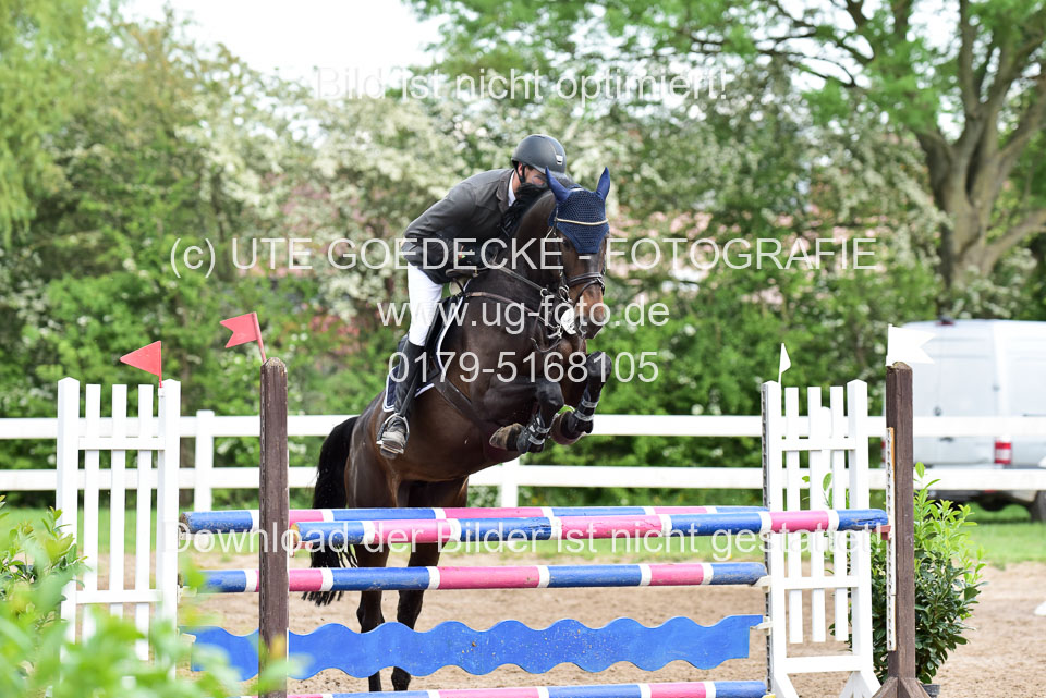 260520-Springpferde-L-_157.jpg