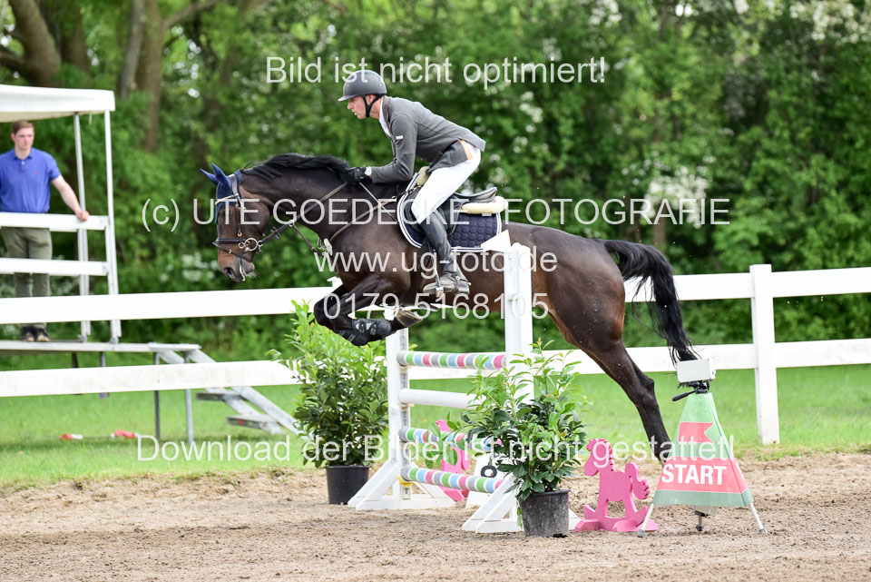 260520-Springpferde-L-_158.jpg