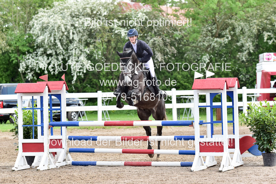 260520-Springpferde-L-_159.jpg
