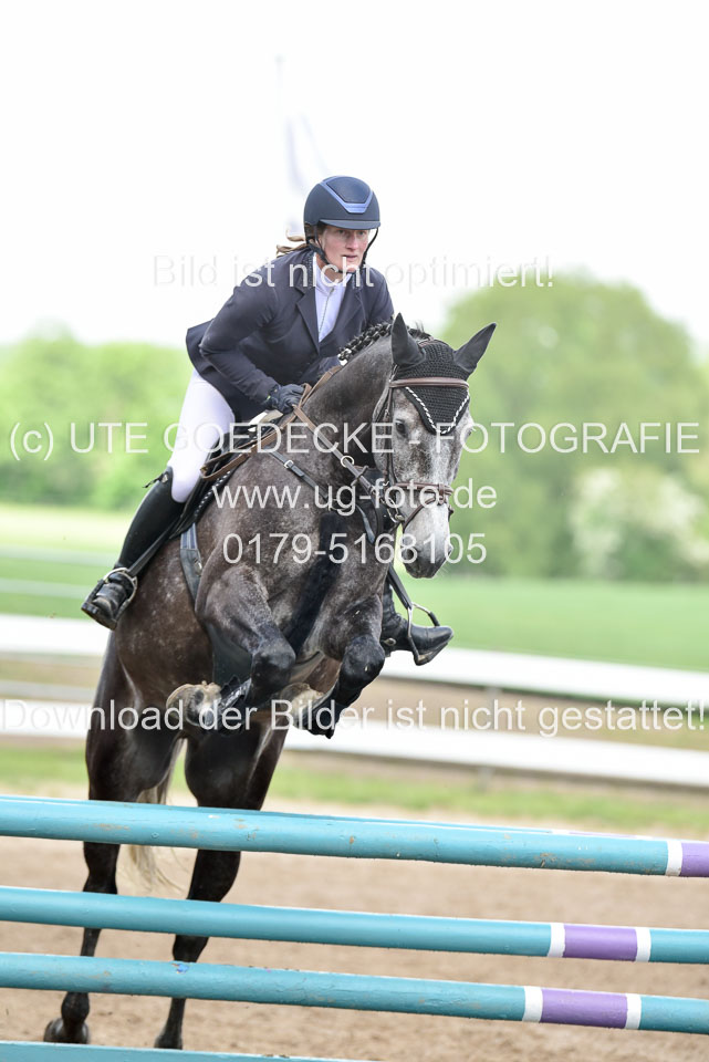 260520-Springpferde-L-_160.jpg