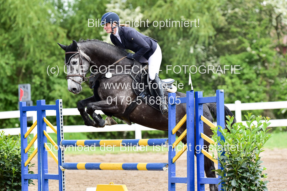 260520-Springpferde-L-_161.jpg