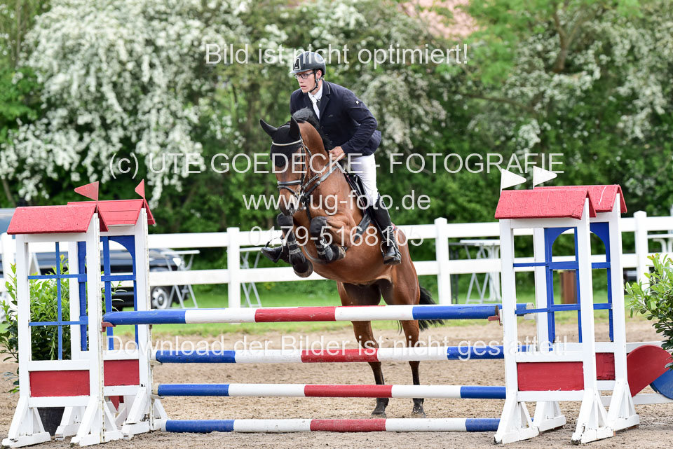 260520-Springpferde-L-_163.jpg