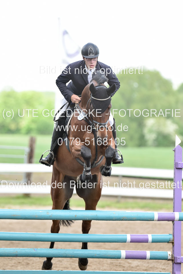 260520-Springpferde-L-_164.jpg