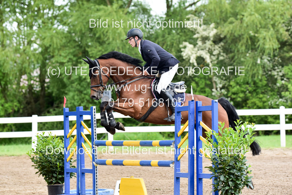 260520-Springpferde-L-_165.jpg
