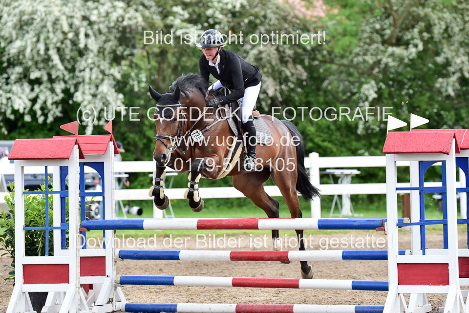260520-Springpferde-L-_167.jpg