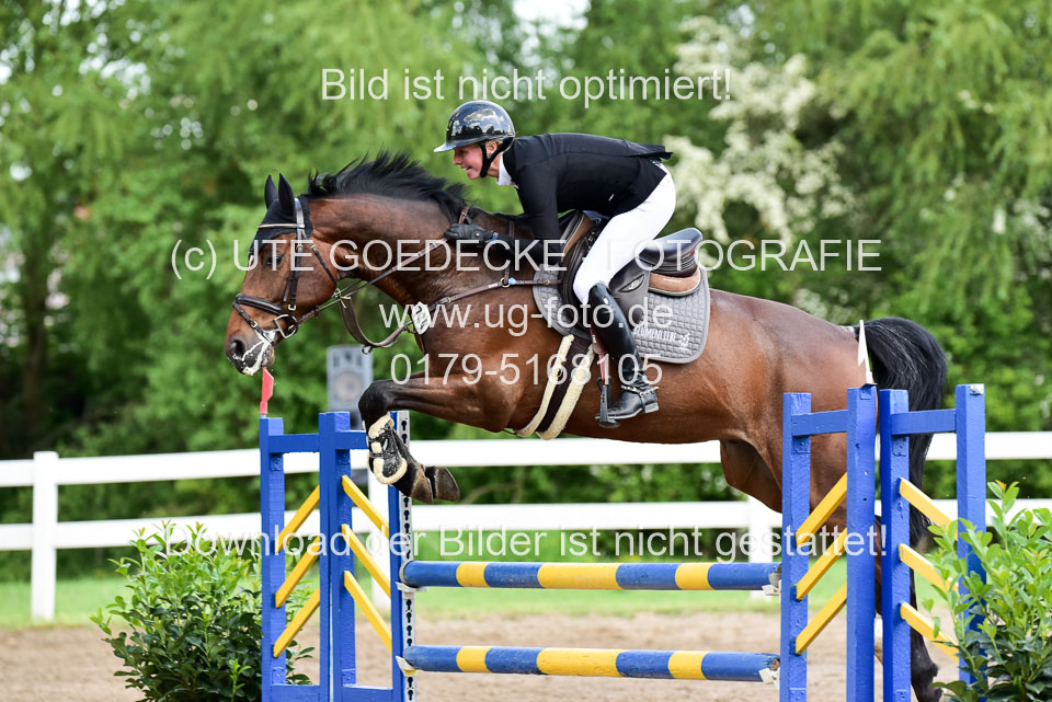 260520-Springpferde-L-_169.jpg