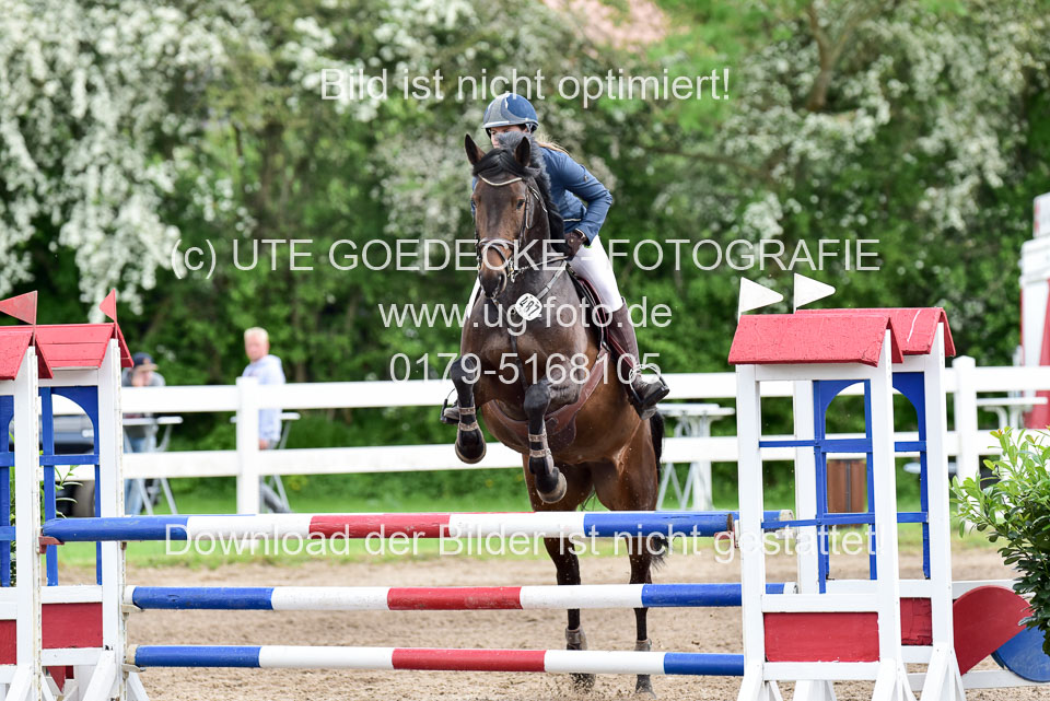 260520-Springpferde-L-_171.jpg