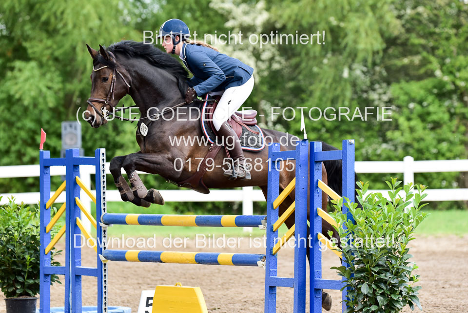 260520-Springpferde-L-_173.jpg