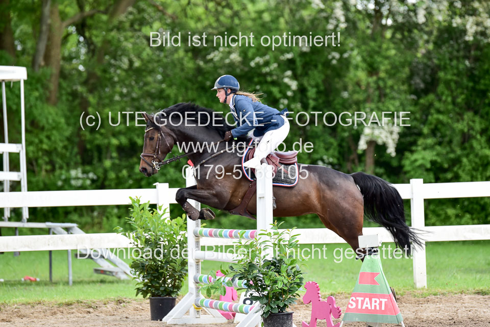 260520-Springpferde-L-_175.jpg