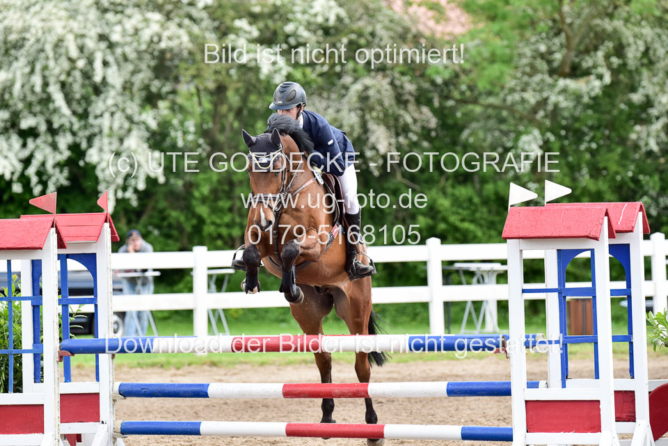 260520-Springpferde-L-_176.jpg