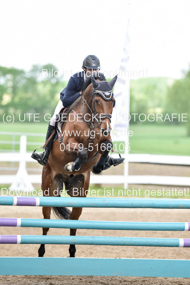 260520-Springpferde-L-_177.jpg