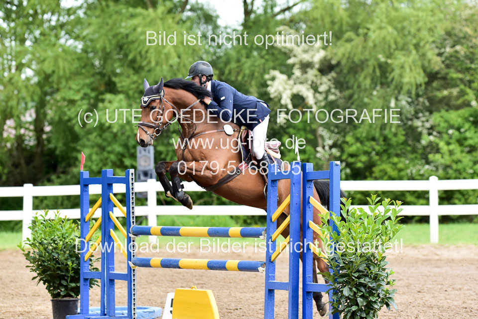 260520-Springpferde-L-_178.jpg