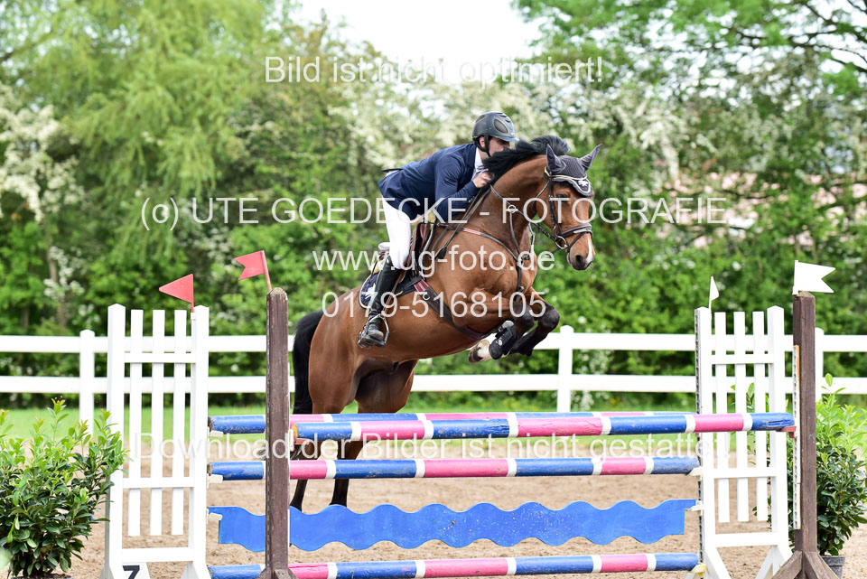 260520-Springpferde-L-_179.jpg