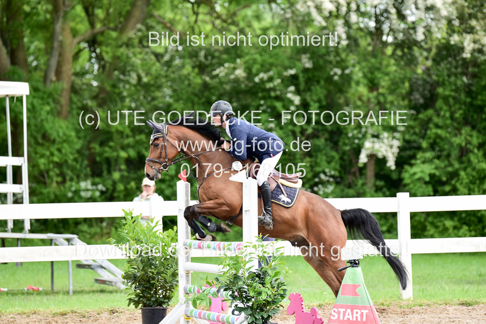 260520-Springpferde-L-_180.jpg