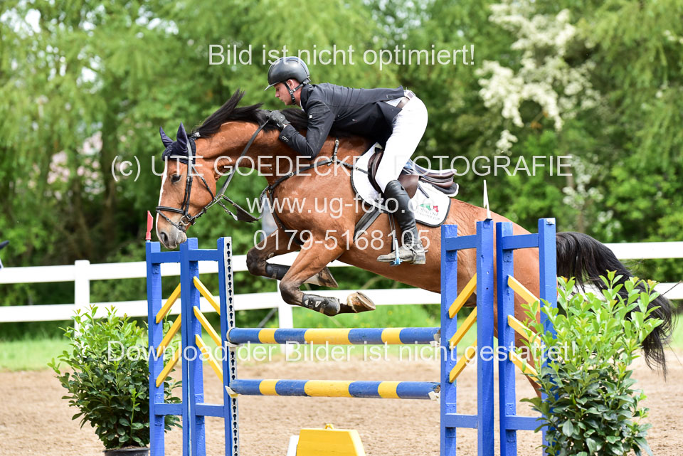 260520-Springpferde-L-_183.jpg