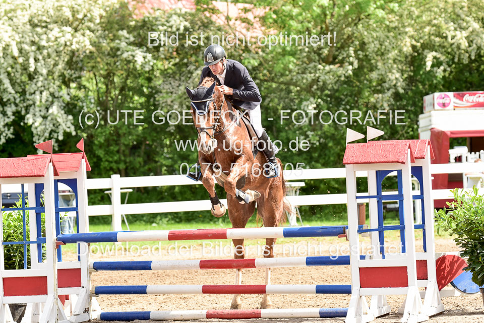 260520-Springpferde-L-_186.jpg