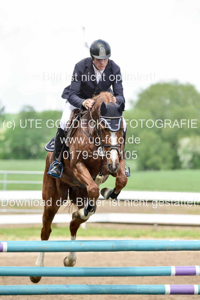 260520-Springpferde-L-_187.jpg