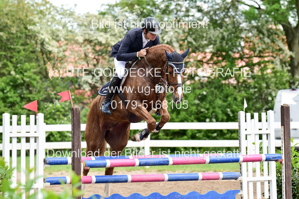 260520-Springpferde-L-_188.jpg