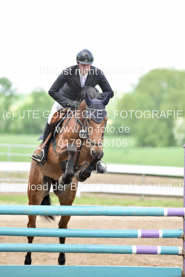 260520-Springpferde-L-_194.jpg