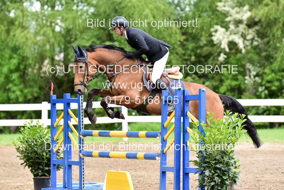 260520-Springpferde-L-_195.jpg